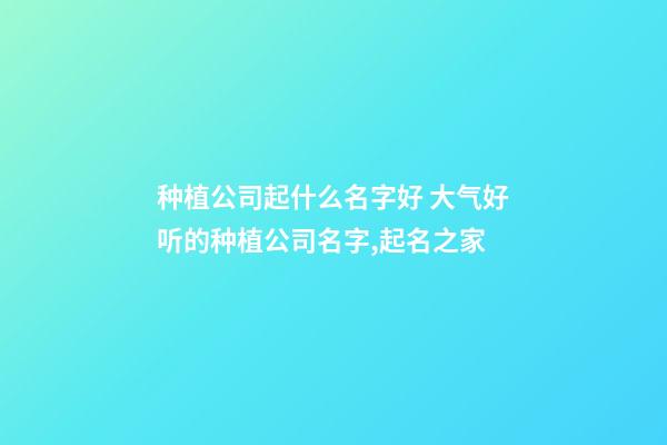 种植公司起什么名字好 大气好听的种植公司名字,起名之家